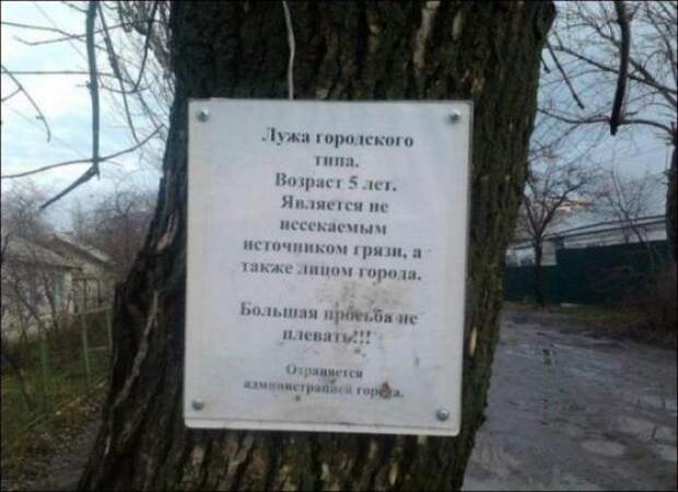 Народный креатив и прикольные объявления (40 фото) Народный креатив и прикольные объявления (40 фото)