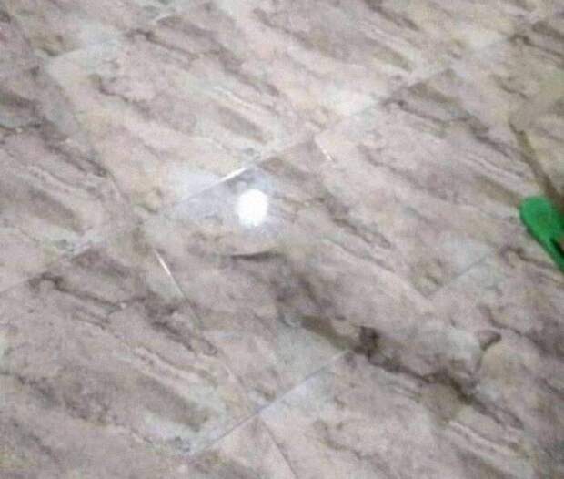 Фото © Reddit / AccidentalCamouflage