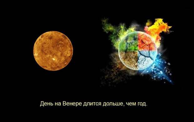 Мир удивителен, господа! Мир удивителен, господа! интересное, мир, невероятное