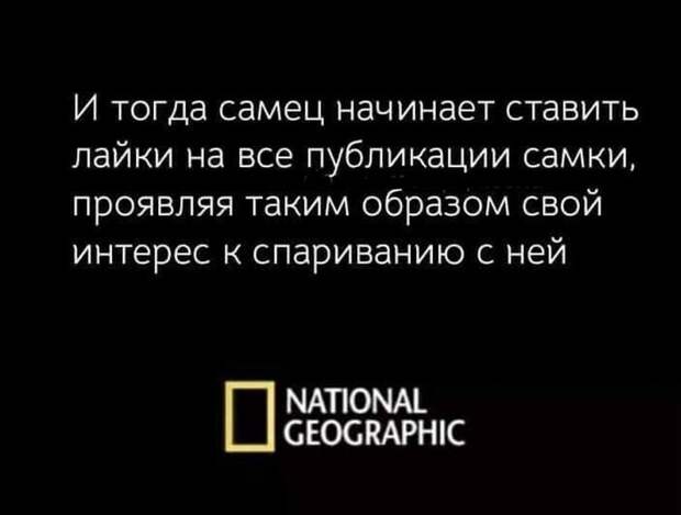 Мужики, теперь наша очередь открывать карты Мужики, теперь наша очередь открывать карты