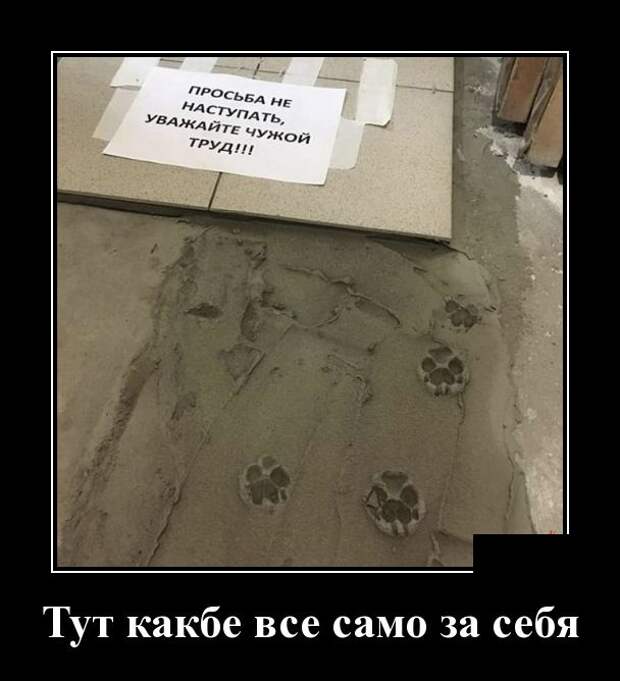 Демотиваторы (30 фото)