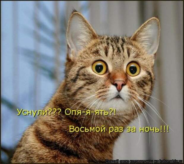 Котоматрица 26