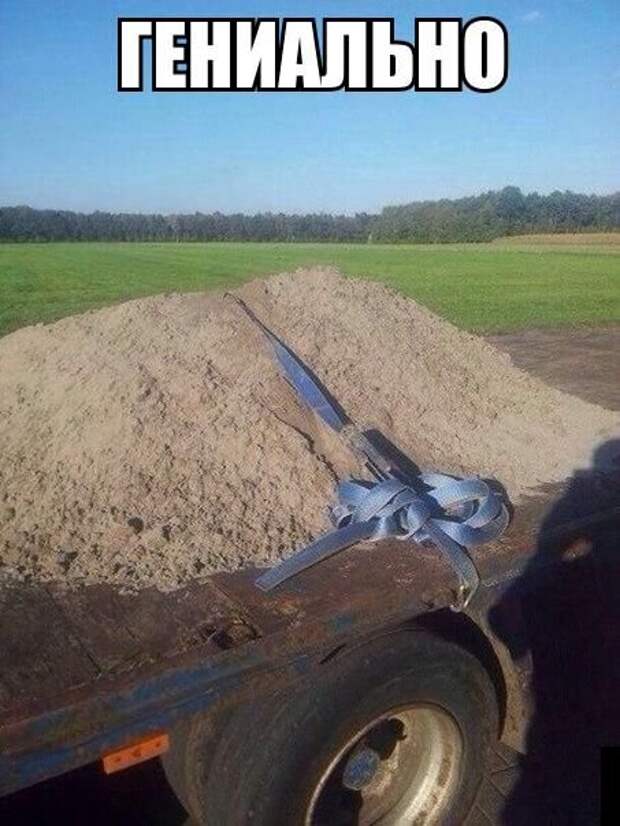 Прикольные картинки