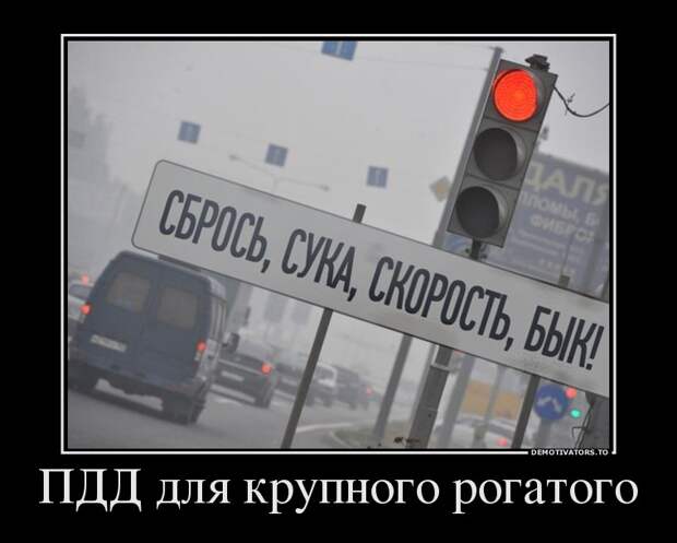 Демотиваторы демотиваторы