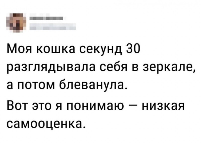 14. Вот низкая, а у вас еще ничего 14. Вот низкая, а у вас еще ничего
