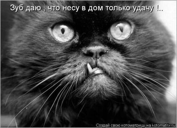 Давайте улыбаться вместе :)