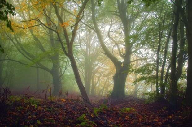 Красивые фотографии чешского фотографа Janek Sedlar
