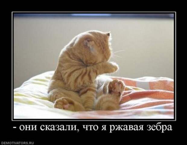 Порция хороших демотиваторов.