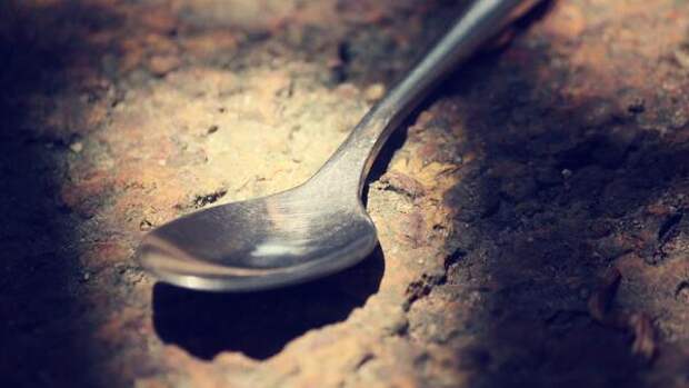 «Волшебные ложки»: зачем нужны столовые приборы на грядке