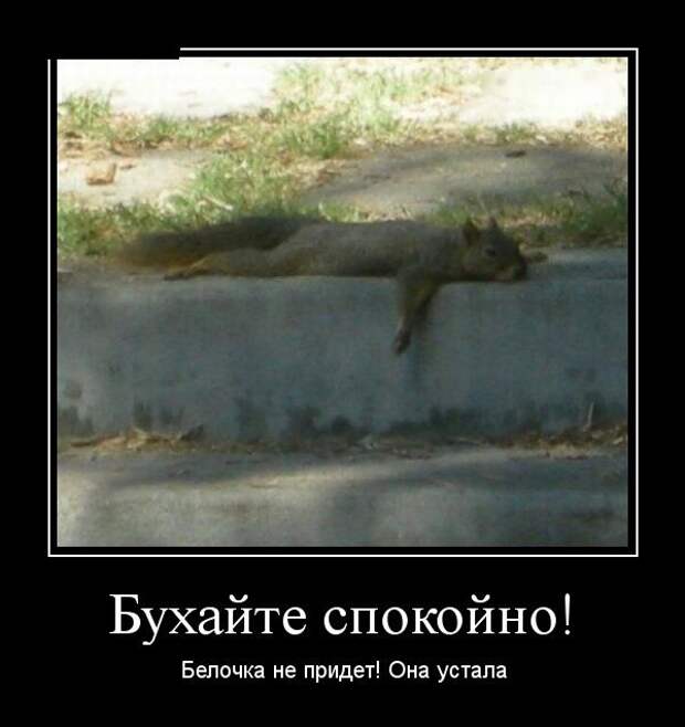 Демотиваторы (30 фото)