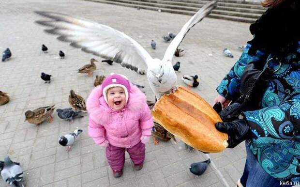rshachnie foto prikols 78 Внимание: ржачно! (110 фото)