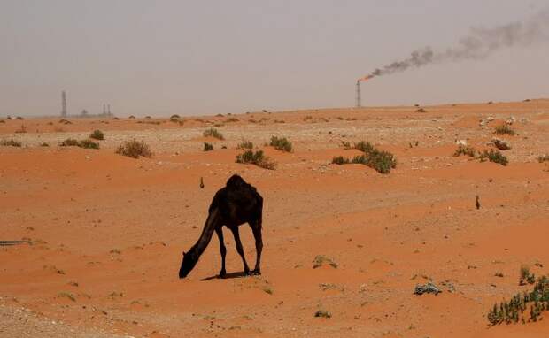 Нефтяные эмиры тоже плачут