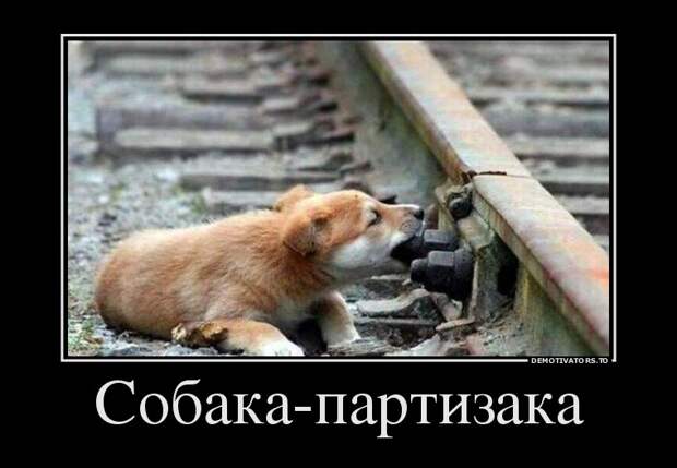 Демотиваторы демотиваторы, прикол, смех, юмор