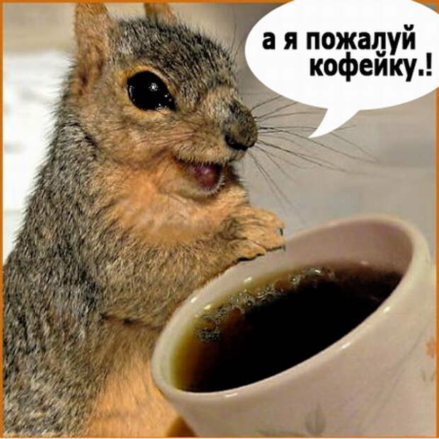 Новая порция анеков Новая порция анеков