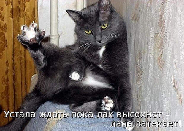 image (604x433, 207Kb)