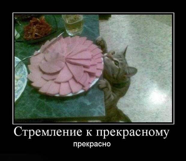 Демотиваторы (30 фото)