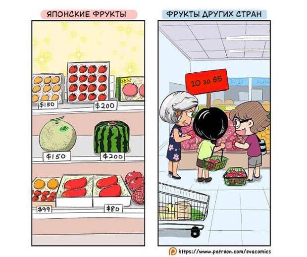 Я живу в Японии и вижу культурные различия между ней и другими странами