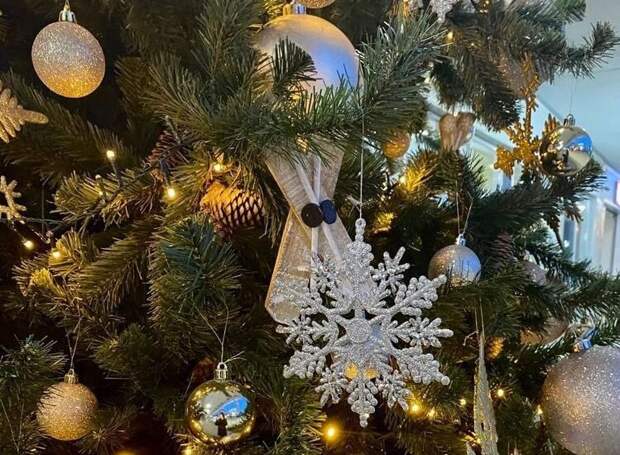 Ёлку на Рязанской ВДНХ украсят фотографиями местных жителей