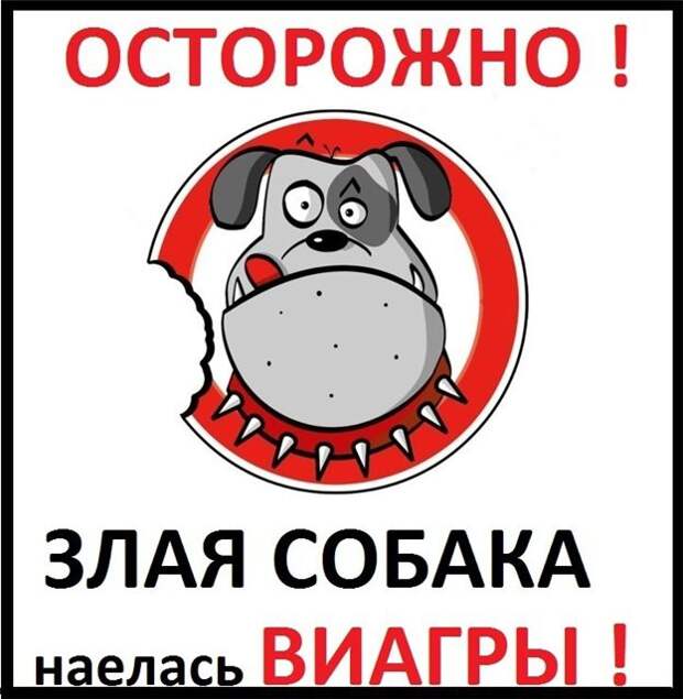 Таблички, правдивость которых не хочется проверять Таблички, правдивость которых не хочется проверять животные, прикол