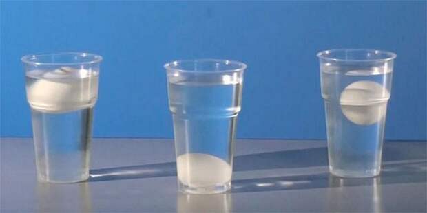 experimentw2.jpg experimentw2.jpg