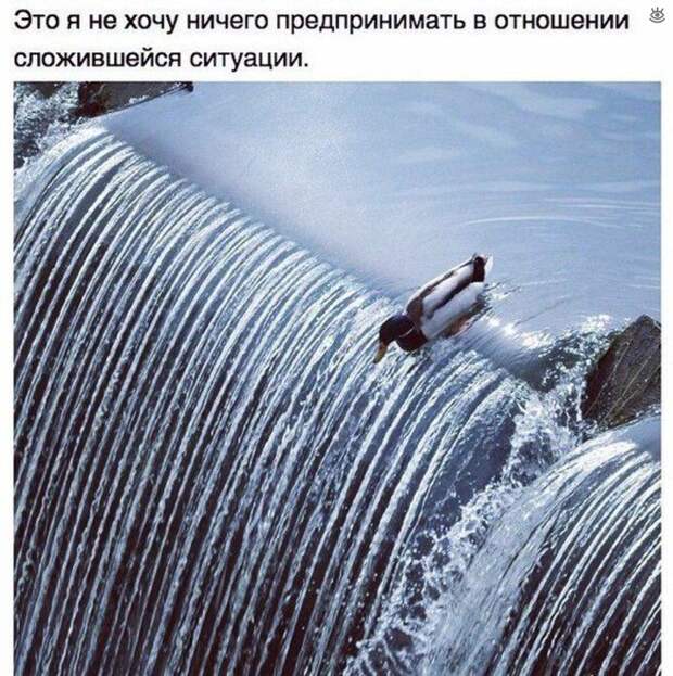 Весёлости из мира 29