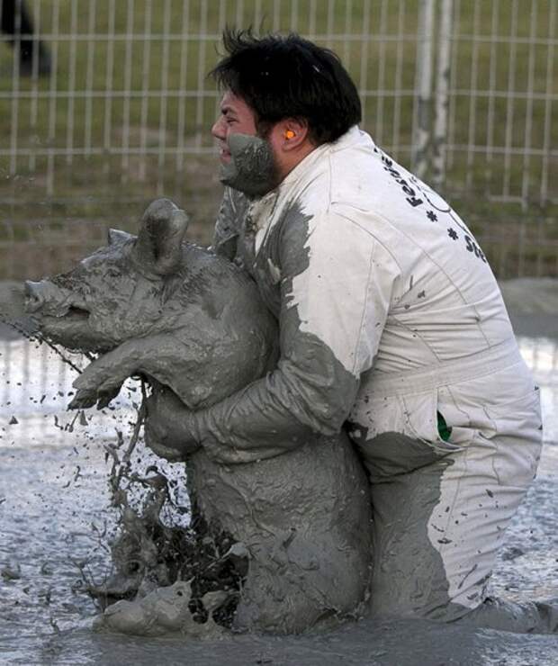 Ловля свиней в грязи на Festival du Cochon-2015 (17 фото)
