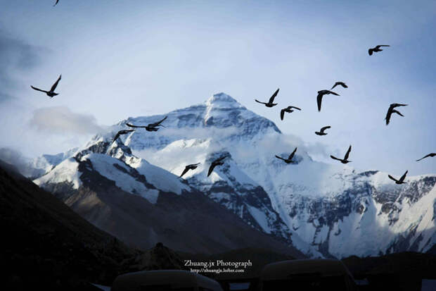Эверест: 30 величественных фотографий самой высокой горы на Земле