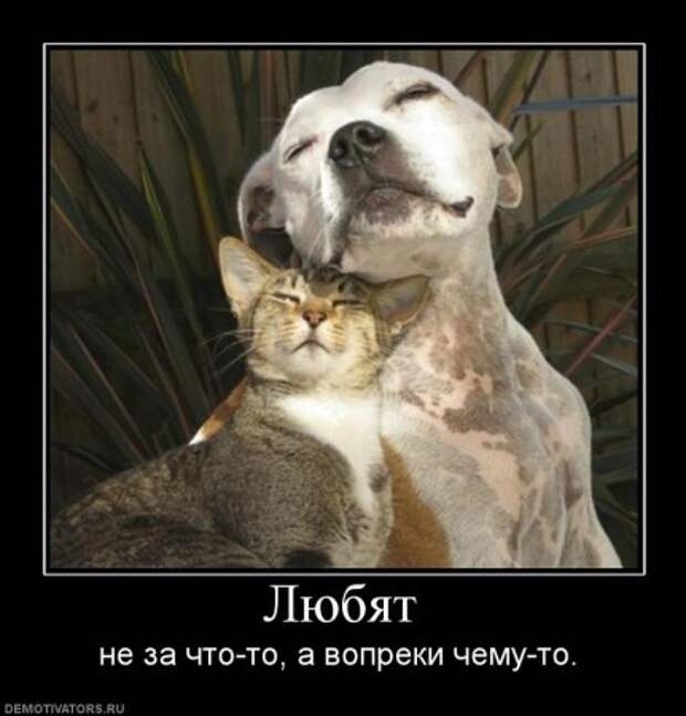 Порция хороших демотиваторов.