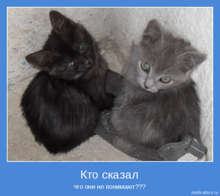 Мотиваторы картинки с текстом.