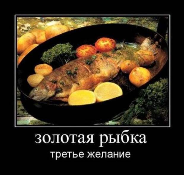 Демотиваторы новые, надписи и фото прикольные.