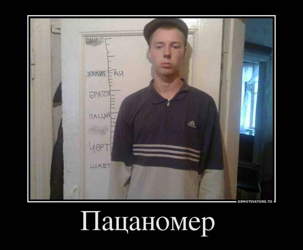 Демотиваторы  демотиваторы, прикол, смех, юмор