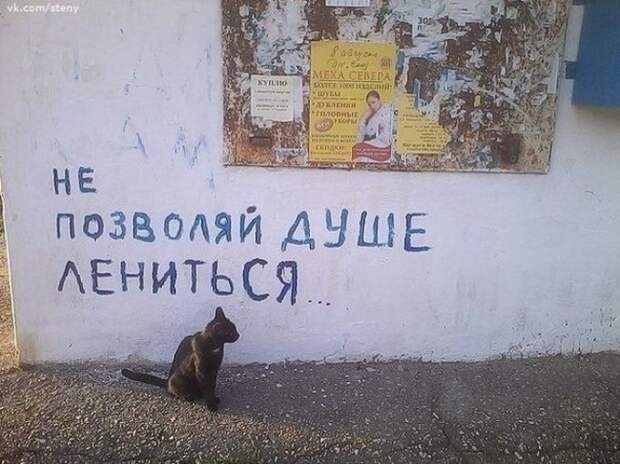 Когда надписи на стенах смотрят прямо в душу надпись, стена, юмор