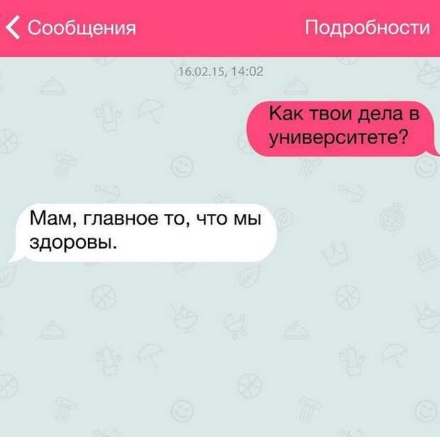 20 жизненных СМС 20 жизненных СМС прикол, смс, юмор