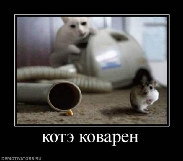 Приколы демотиваторы, смешные надписи и фото.