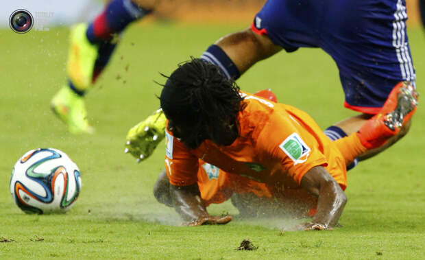 Чемпионат мира по футболу 2014