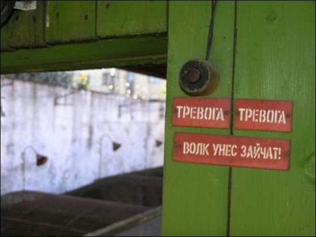 Надписи и объявления