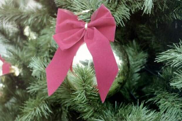 Рождественские праздники впереди: куда сходить в Краснодаре на новогодних каникулах