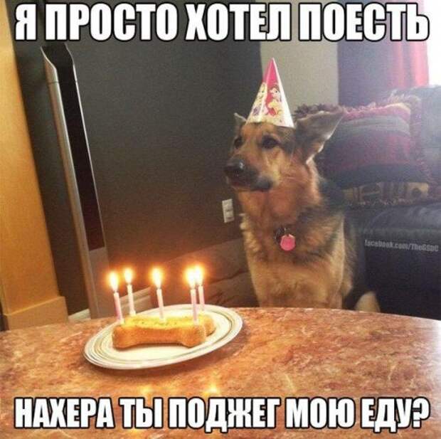 Прикольные картинки, ржака (52 шт)