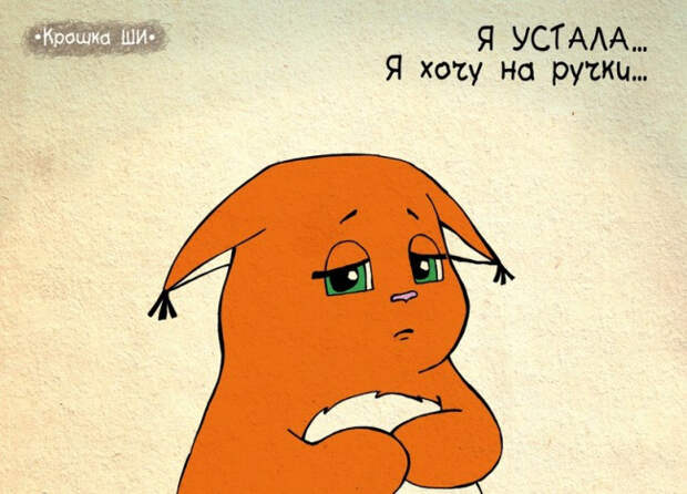 рыжая белочка крошка ши (9)
