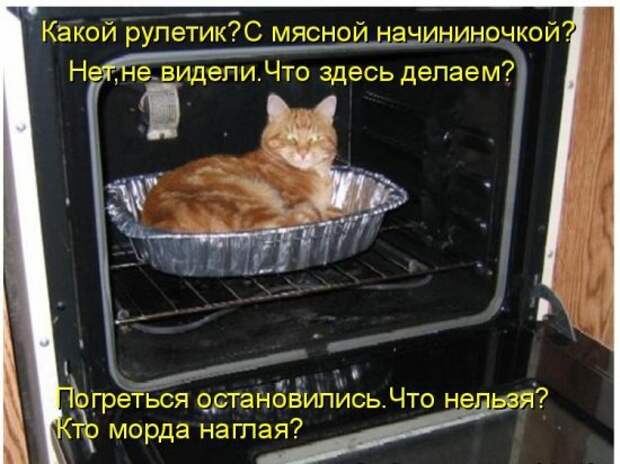 Котоматрица 12