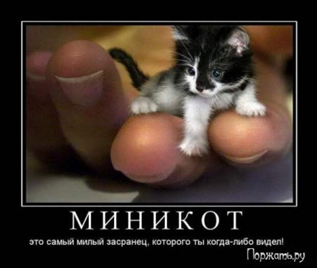 Демтиваторы