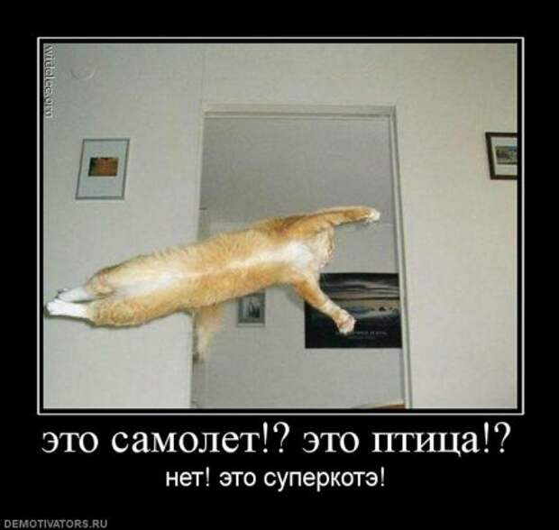 Веселые демотиваторы.