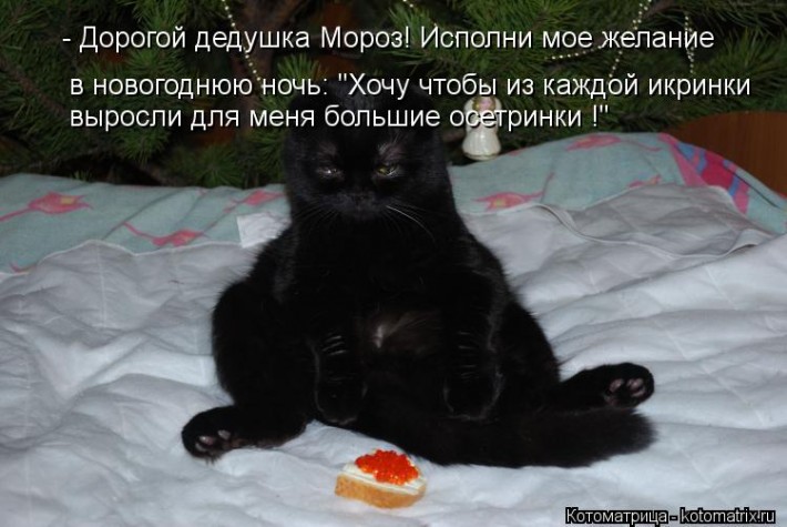 Мысли вслух - Ожидание Нового года