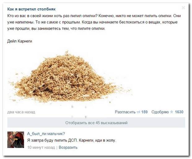 15 комментариев из соцсетей от 29 апреля