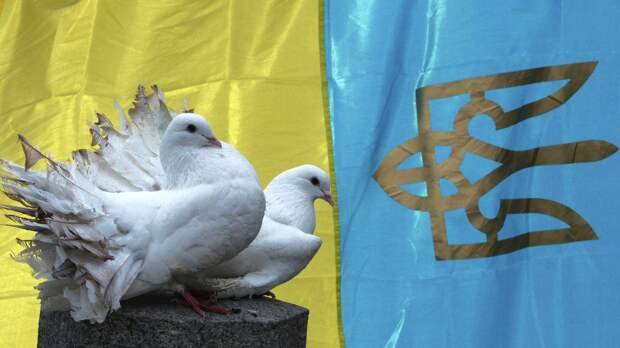 "Генофонд вымирает": ради спасения Украине приходится идти на крайние меры