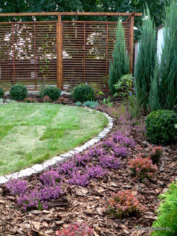 P1250485 (480x640, 216Kb)