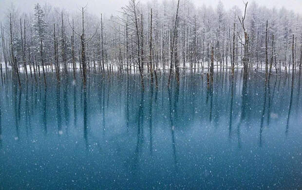 Завораживающая красота небесно-голубых вод пруда на Хоккайдо