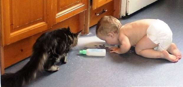 Если в доме тишина... Если в доме тишина...