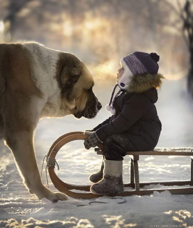 фотографии детей и животных от елены шумиловой (11)