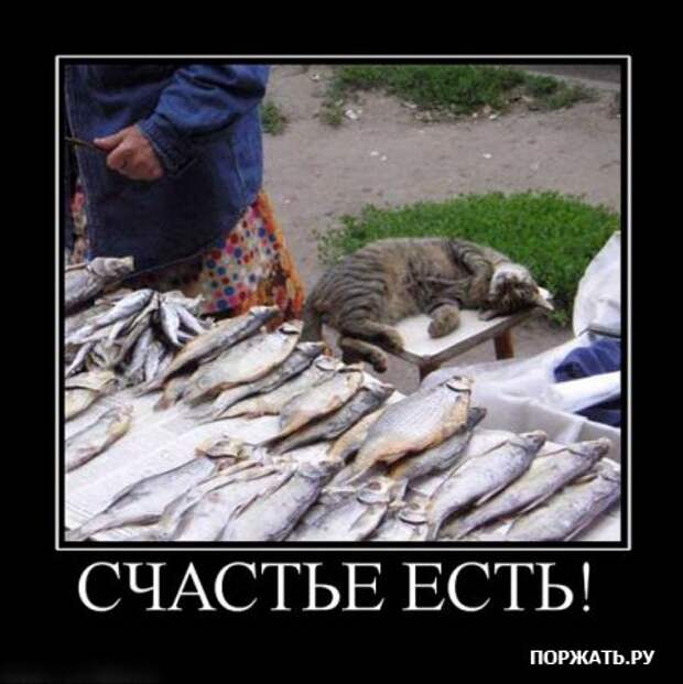 Отборные демотиваторы к понедельнику